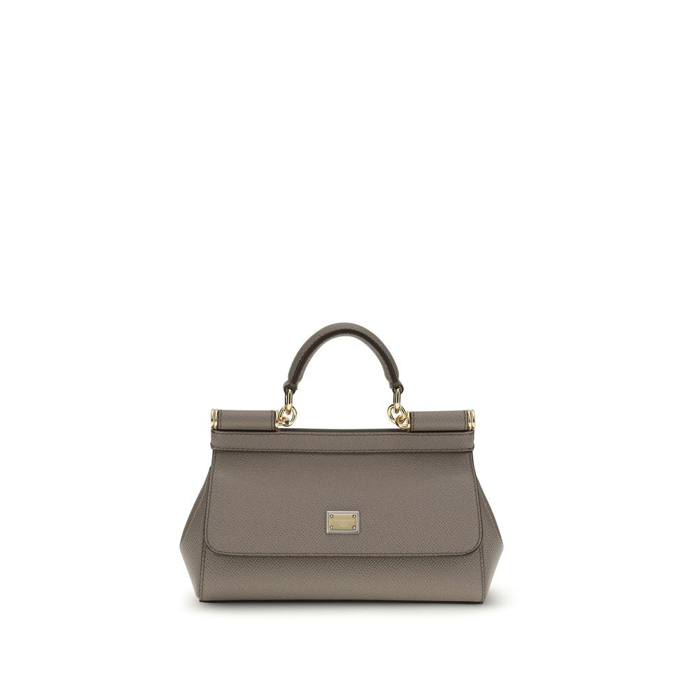 Dolce & Gabbana Gray Calf Leather Bos Taurus Handbag