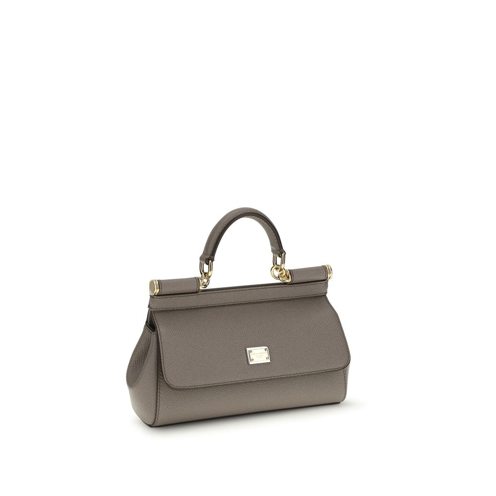 Dolce & Gabbana Gray Calf Leather Bos Taurus Handbag