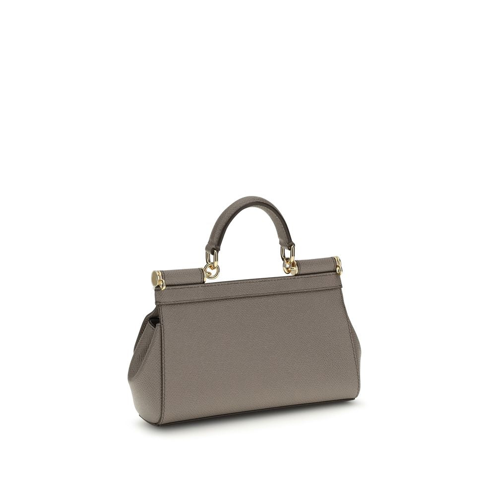Dolce & Gabbana Gray Calf Leather Bos Taurus Handbag
